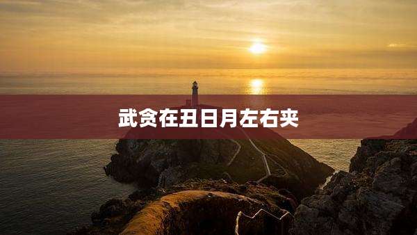 武贪在丑日月左右夹
