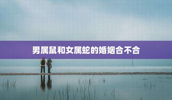 男属鼠和女属蛇的婚姻合不合