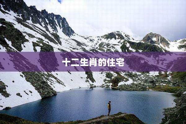 十二生肖的住宅