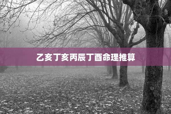乙亥丁亥丙辰丁酉命理推算