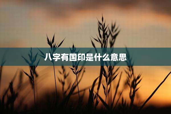 八字有国印是什么意思