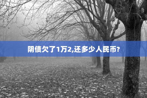 阴债欠了1万2,还多少人民币?
