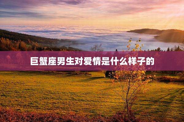 巨蟹座男生对爱情是什么样子的