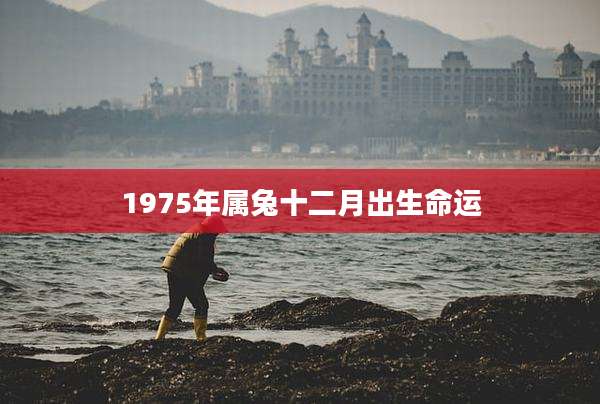 1975年属兔十二月出生命运
