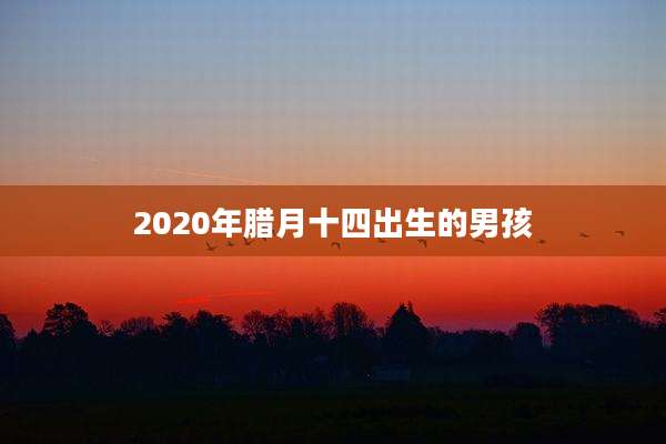 2020年腊月十四出生的男孩