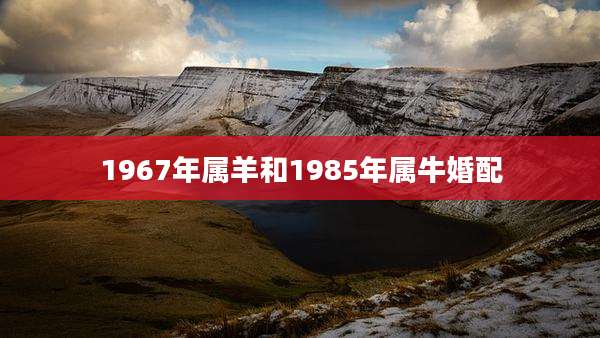 1967年属羊和1985年属牛婚配
