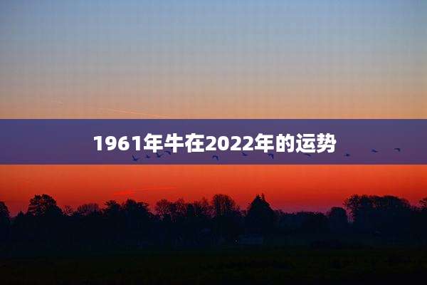 1961年牛在2022年的运势