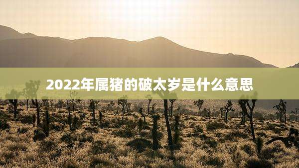 2022年属猪的破太岁是什么意思