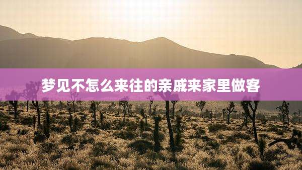 梦见不怎么来往的亲戚来家里做客