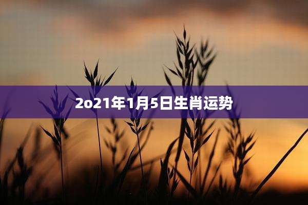 2o21年1月5日生肖运势
