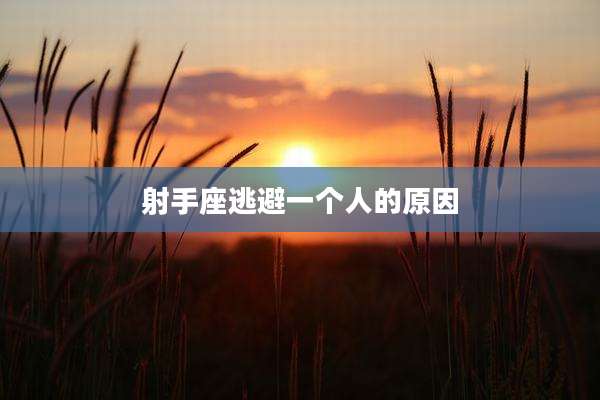 射手座逃避一个人的原因