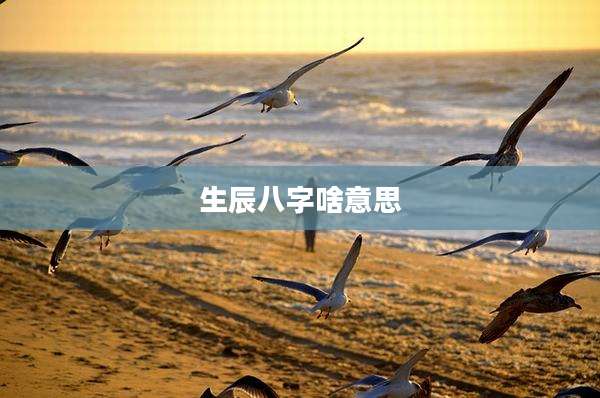 生辰八字啥意思