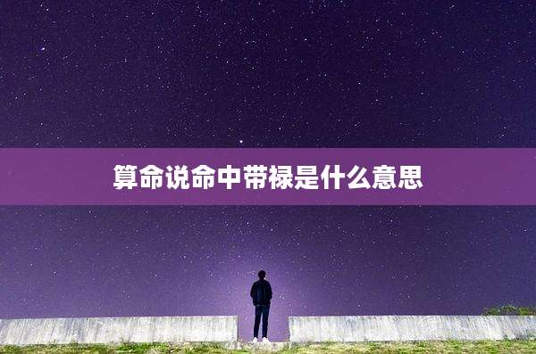 算命说命中带禄是什么意思