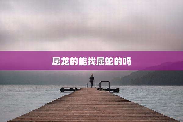 属龙的能找属蛇的吗