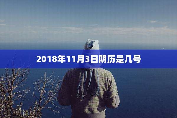 2018年11月3日阴历是几号