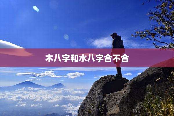 木八字和水八字合不合