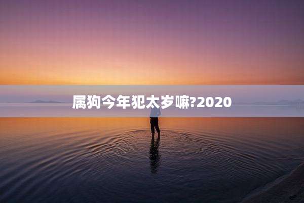 属狗今年犯太岁嘛?2020