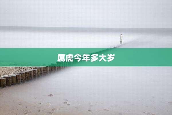 属虎今年多大岁