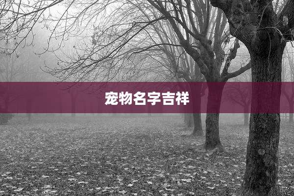 宠物名字吉祥