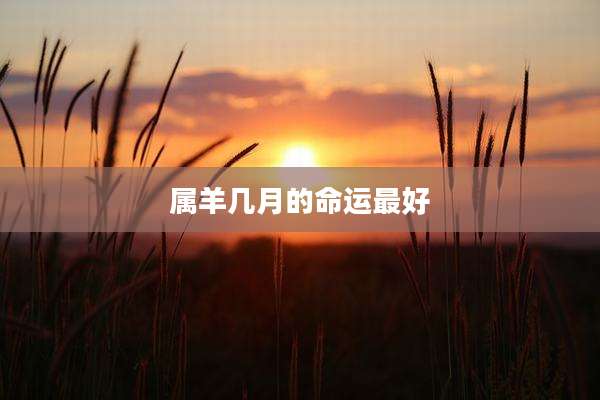 属羊几月的命运最好