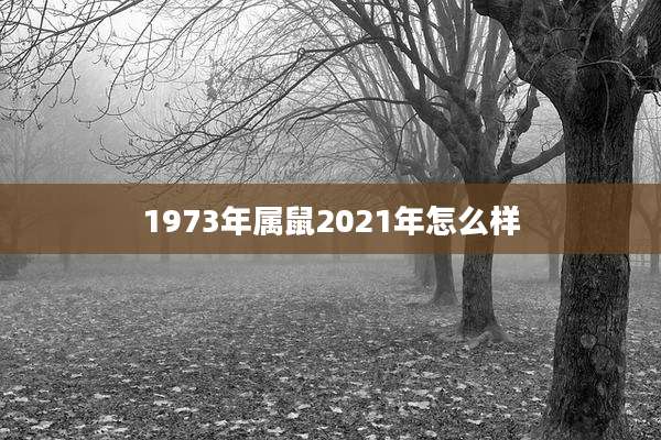 1973年属鼠2021年怎么样