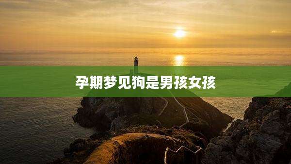 孕期梦见狗是男孩女孩
