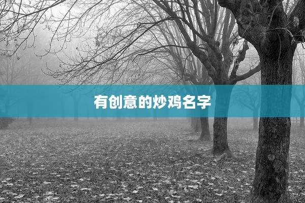 有创意的炒鸡名字