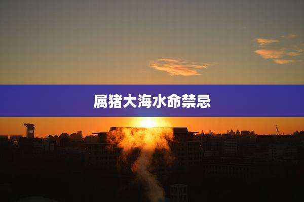 属猪大海水命禁忌