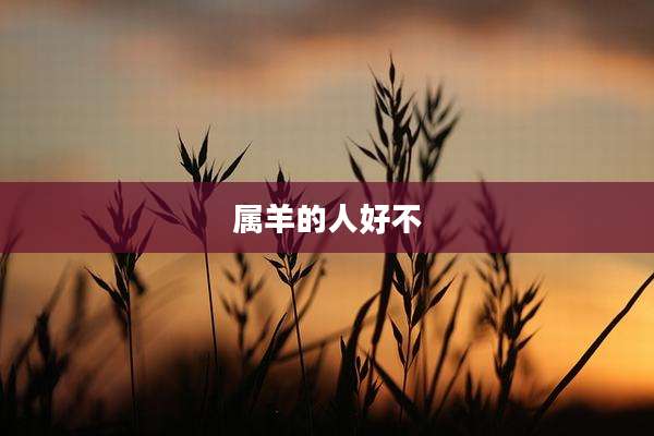 属羊的人好不