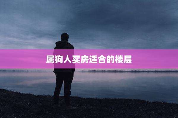 属狗人买房适合的楼层