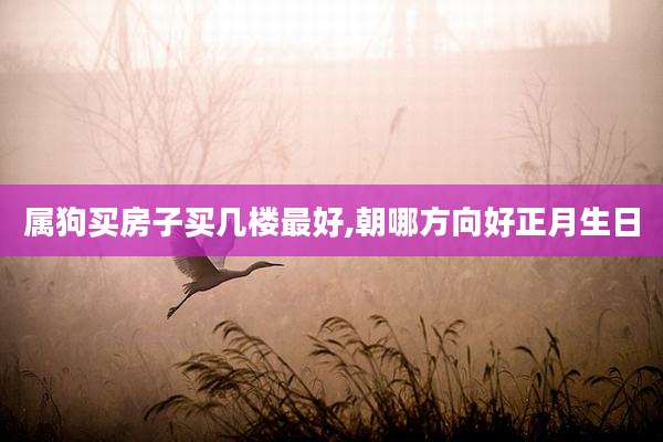 属狗买房子买几楼最好,朝哪方向好正月生日