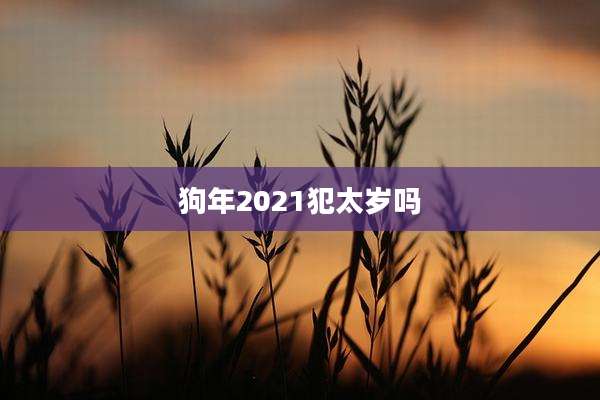 狗年2021犯太岁吗