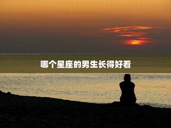 哪个星座的男生长得好看