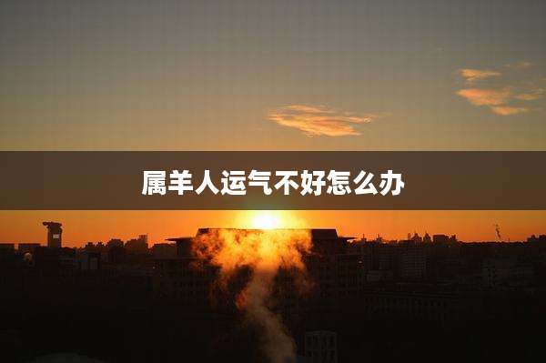 属羊人运气不好怎么办