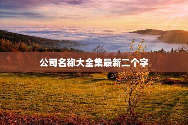 公司名称大全集最新二个字