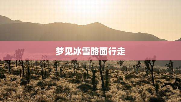 梦见冰雪路面行走