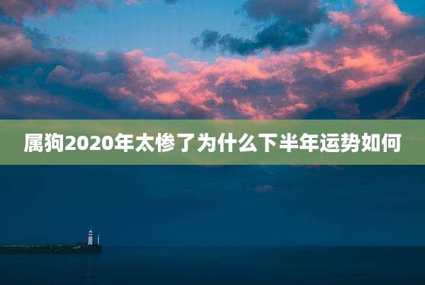 属狗2020年太惨了为什么下半年运势如何