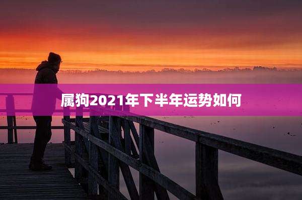 属狗2021年下半年运势如何