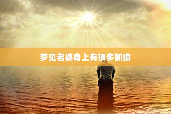 梦见老婆身上有很多抓痕
