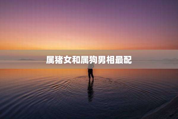属猪女和属狗男相最配