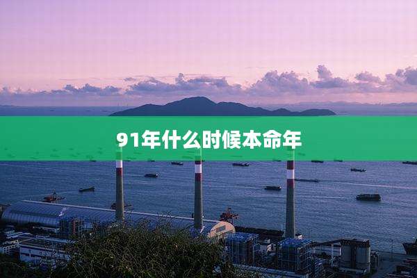 91年什么时候本命年