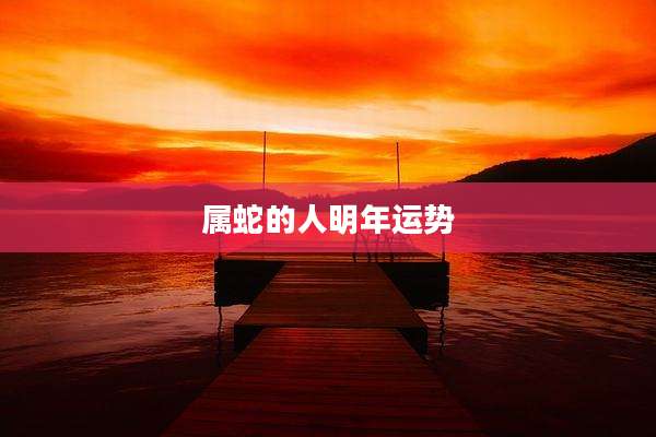 属蛇的人明年运势