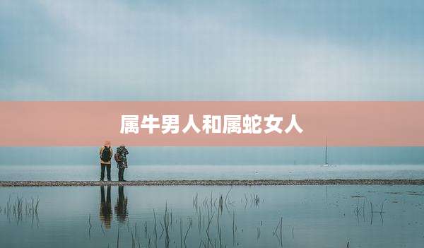 属牛男人和属蛇女人