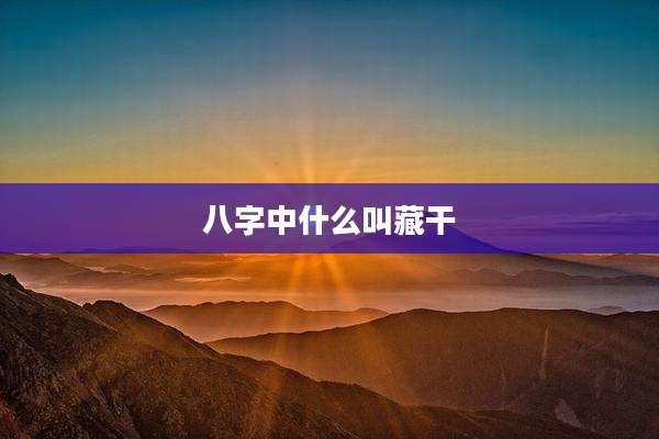 八字中什么叫藏干