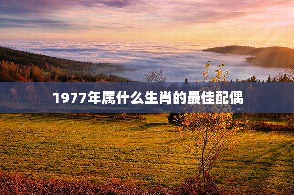 1977年属什么生肖的最佳配偶