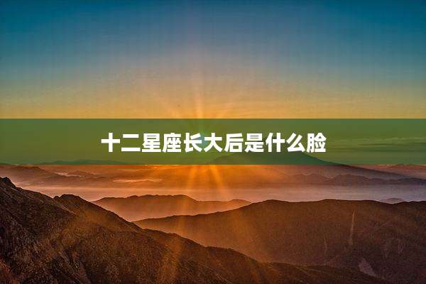 十二星座长大后是什么脸