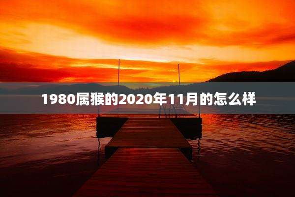 1980属猴的2020年11月的怎么样