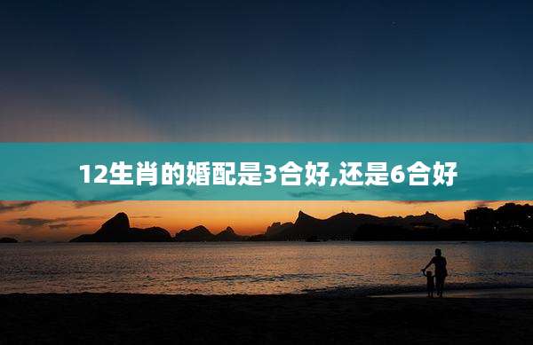 12生肖的婚配是3合好,还是6合好