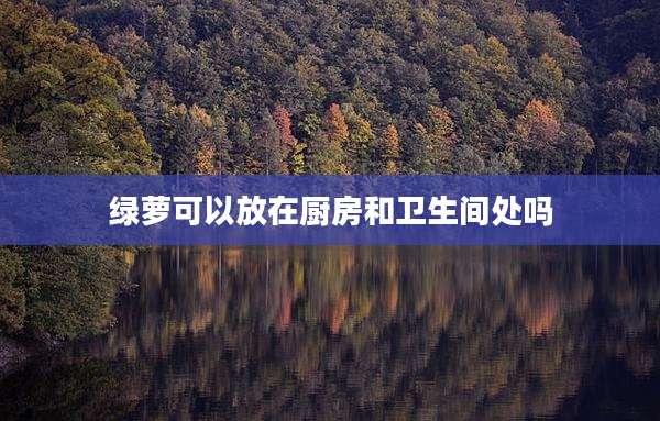 绿萝可以放在厨房和卫生间处吗