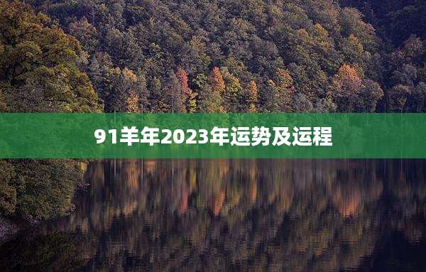 91羊年2023年运势及运程